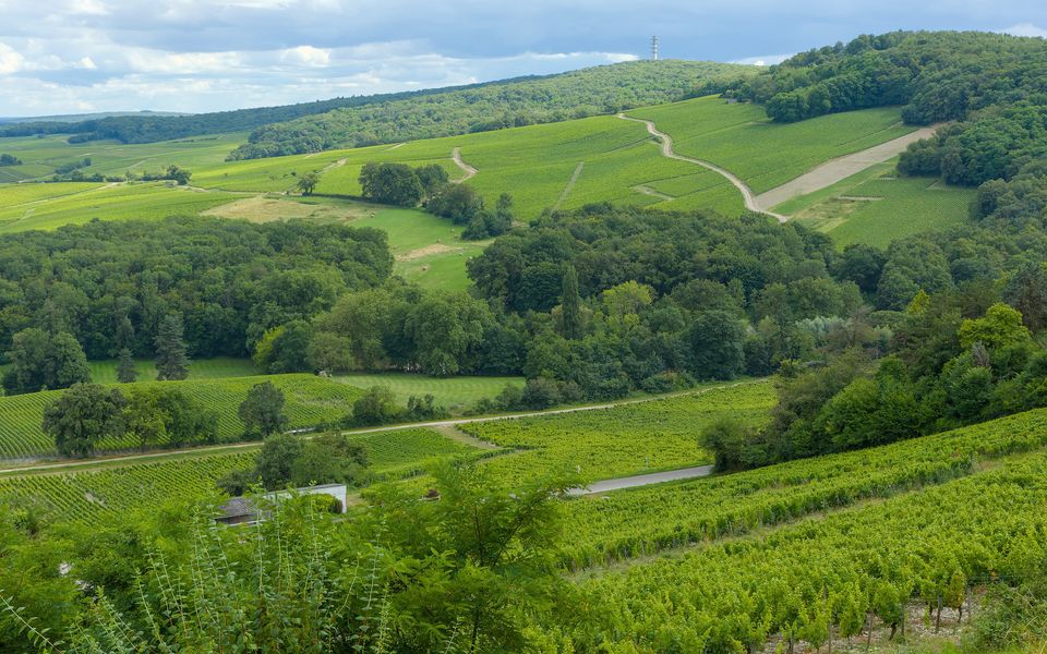 Sancerre : tour des Fiefs, vignoble et où dormir